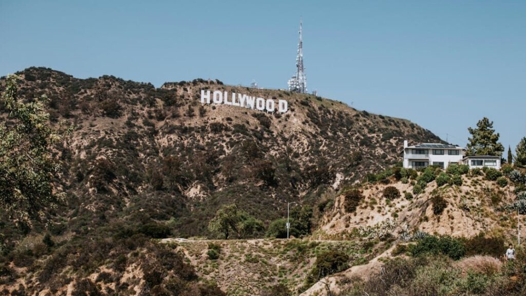 Pobierz formularz zwrotu Hollywood Dream za darmo w PDF