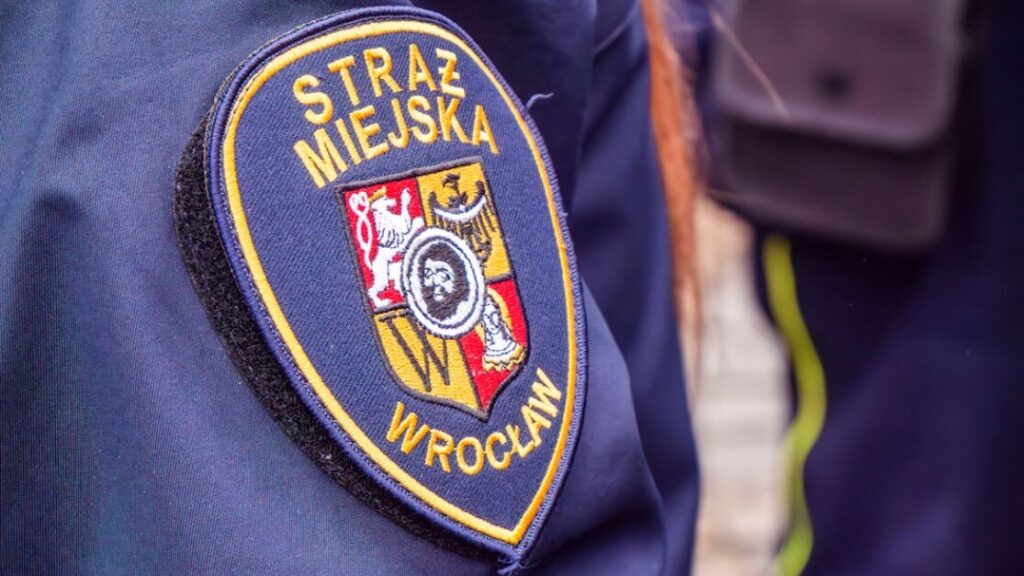 Pobierz formularz policja za darmo w PDF